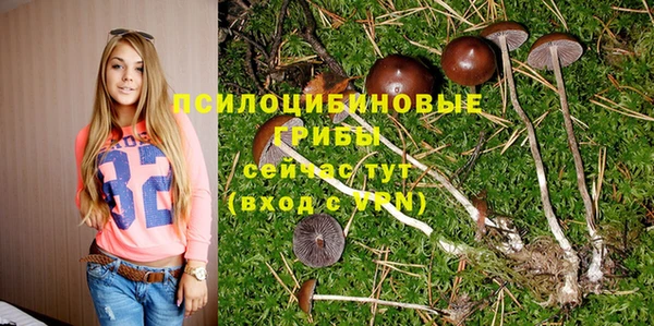 прущая мука Абинск