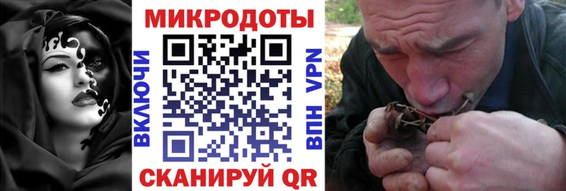 кракен как зайти наркошоп Холм Галлюциногенные грибы Psilocybe